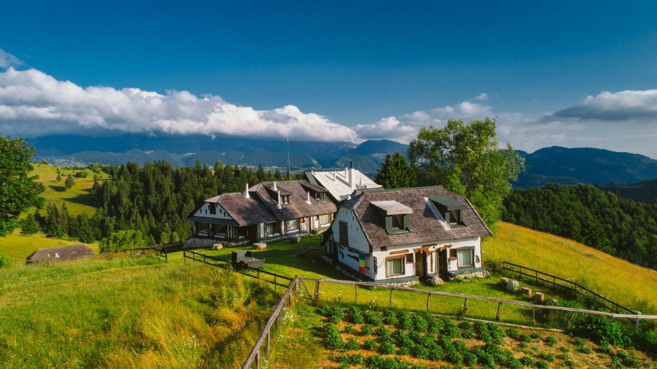 Amfiteatrul Transilvania Villa Moieciu de Jos Exterior photo